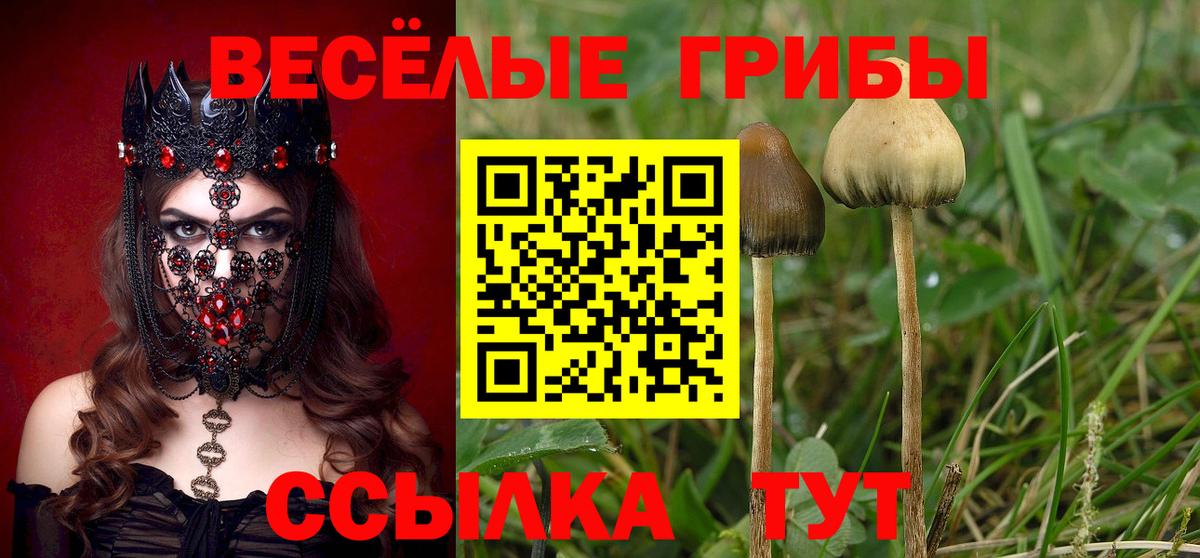 Галлюциногенные грибы GOLDEN TEACHER Октябрьский